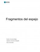 Introducción: Fragmentos del espejo