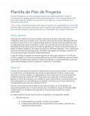 Plantilla de Plan de Proyecto