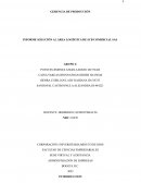 INFORME SOLUCIÓN AL ÁREA LOGÍSTICA DE SCB COMERCIAL SAS