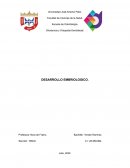 Desarrollo embriologico