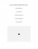 BALANZA COMERCIAL SUPERAVITARIA CON EUA.