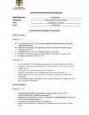 CASO INVESTIGADOR FINANCIERO