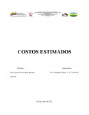 GERENCIA DE COSTOS (NORELIS)