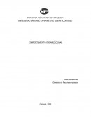 LA ORGANIZACIÓN Y EL CONTEXTO