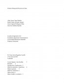 Primera Entrega Dinámica Estructural