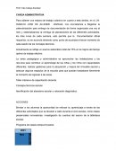 CARGA ADMINISTRATIVA