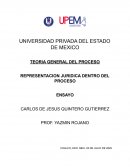 TEORIA GENERAL DEL PROCESO REPRESENTACION JURIDICA DENTRO DEL PROCESO