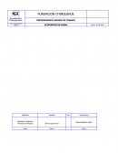 PROCEDIMIENTO SEGURO DE TRABAJO. ACCIDENTES EN FAENA