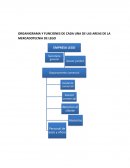 ORGANIGRAMA Y FUNCIONES DE CADA UNA DE LAS AREAS DE LA MERCADOTECNIA DE LEGO