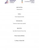 COSTOS. TEORÍAS ORGANIZACIONALES