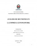 ANÁLISIS DE REUNIONES EN LA EMPRESA GENOMAWORK