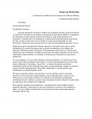 Ensayo de Motivación