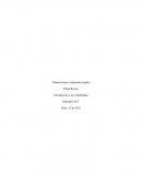 Transacciones e impuestos legales empresa Denta