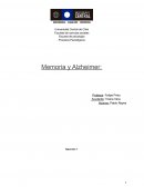 Alzheimer y memoria. Posibles causas del Alzheimer