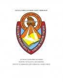 Rasgos del Perfil de Egreso