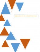 DIRECCION DE OPERACION. PLANIFICACIÓN