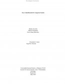 Identificación De Categorías Sociales