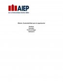 Sustentabilidad para la organización