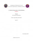 Relaciones Interpersonales en el Desarrollo Humano