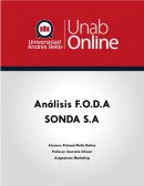 Análisis F.O.D.A SONDA S.A