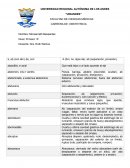 Anatomía vocabulario