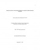 Informe de práctica contrato laboral realizado en la empresa Unidad Nacional de Protección