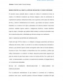 Ensayo REDES POLÍTICAS, CIRCULACIÓN DE IMÁGENES Y COLECCIONISMO