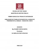HABILIDADES DE TRABAJO EN EQUIPO EN LA UNIDAD DE POSGRADO DE LA UNSAAC - CIUDAD DEL CUSCO