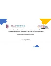 Diagnóstico situacional a partir de las figuras tutoriales. Página 1