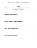 Mi proyecto de microempresa (quinta parte los trámites a realizar para mi negocio)