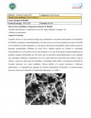 Ejemplo de Biofilm