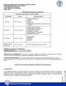 PROYECTO INTEGRAL VIGAS