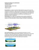 Factores que influyen en la contaminación