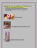 La vestimenta de los tsachilas