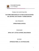 FACTORES EMOCIONALES Y/O PSICOLOGICOS DETRÁS DEL SEXTING, SUS CAUSAS Y CONSECUENCIAS