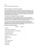 Opinión relacionada con el concepto de obra segura