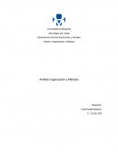 Analisis Organización y Metodos