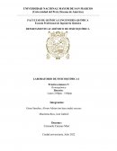 Práctica número 5: Termoquímica