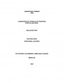 LABORATORIO DE TRABAJO DE FRONTERA PARA UN GAS IDEAL