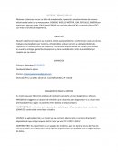 MOTORES Y SOLUCIONES MX