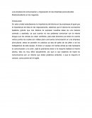 Los procesos de comunicación y negociación en las empresas pluriculturales