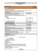 Slip Modelo Seguro Vehicular