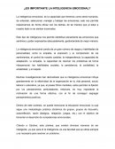 ¿Es importante la inteligencia emocional?