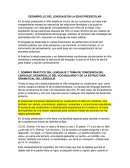 DESARROLLO DEL LENGUAJE EN LA EDAD PREESCOLAR