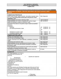 Slip Modelo Seguro Vehicular. Página 1