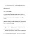 ¿Cuáles son los problemas centrales de la economía?