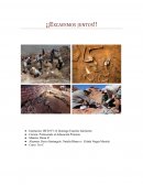 Eras geologicas ¡¡Excavemos juntos!!