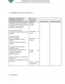 Formato prácticas profesionales