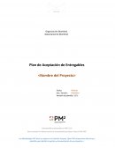 PMBOK PLANTILLA