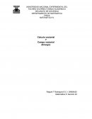 Calculo vectorial Y Campo vectorial